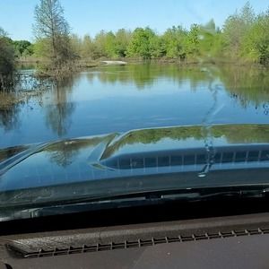 Meet your Posher, Kevin